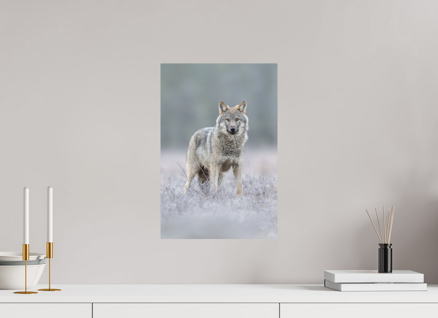 Wolf on frozen ground