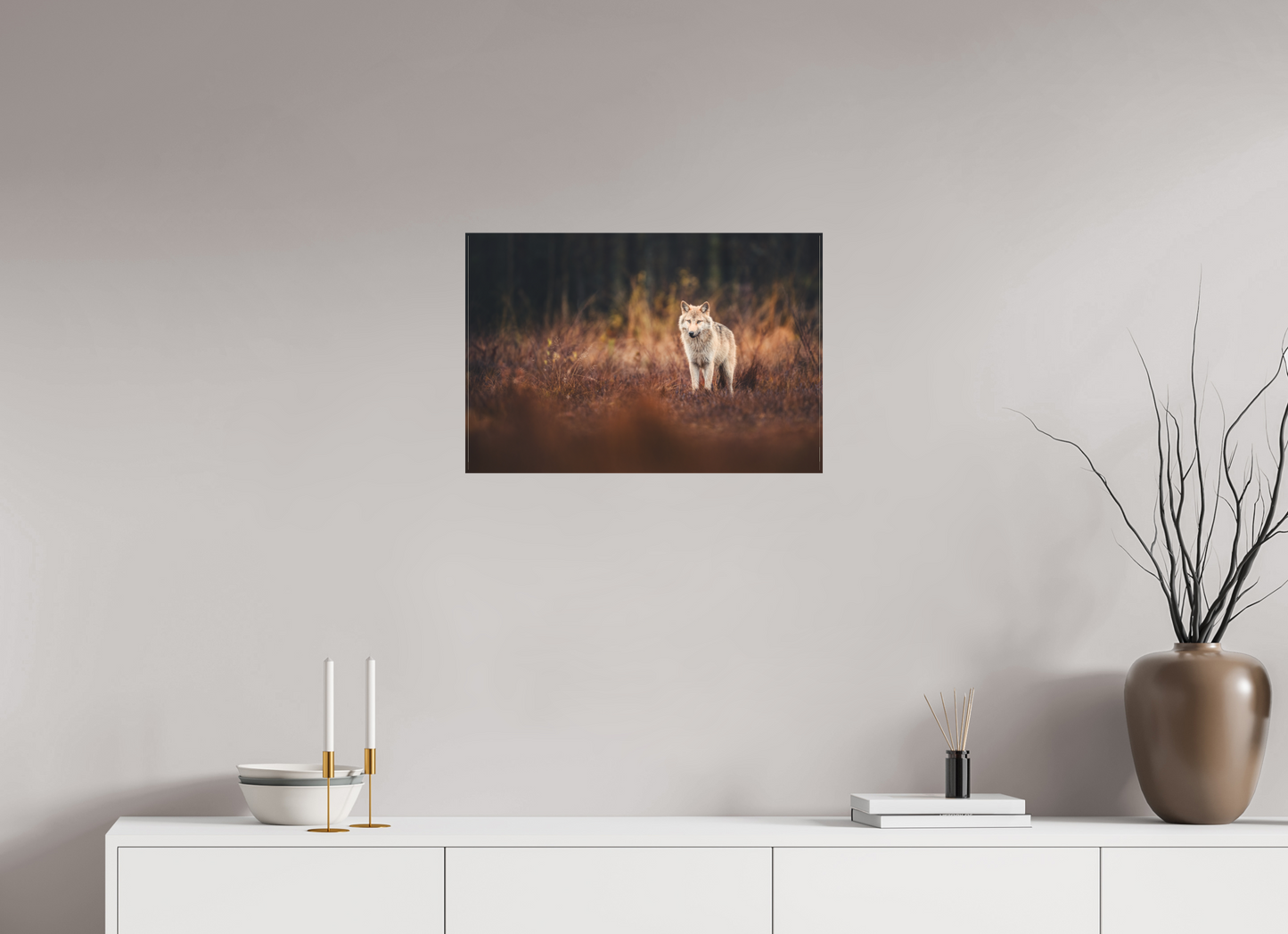 Wolf in autumn surroundings