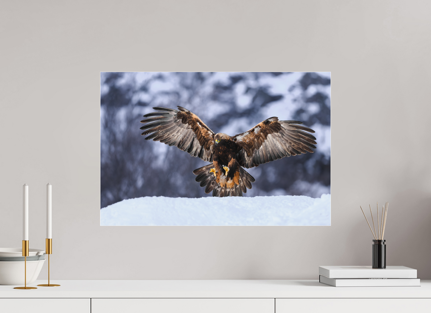 Golden eagle in for landing