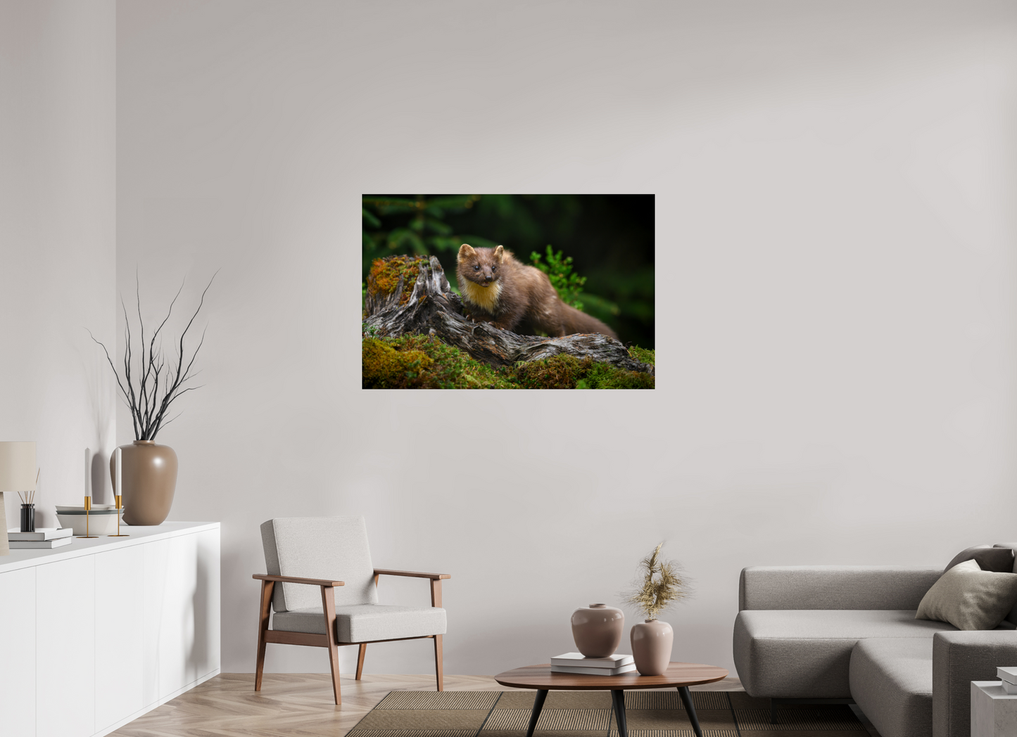 Pine marten on old tree root