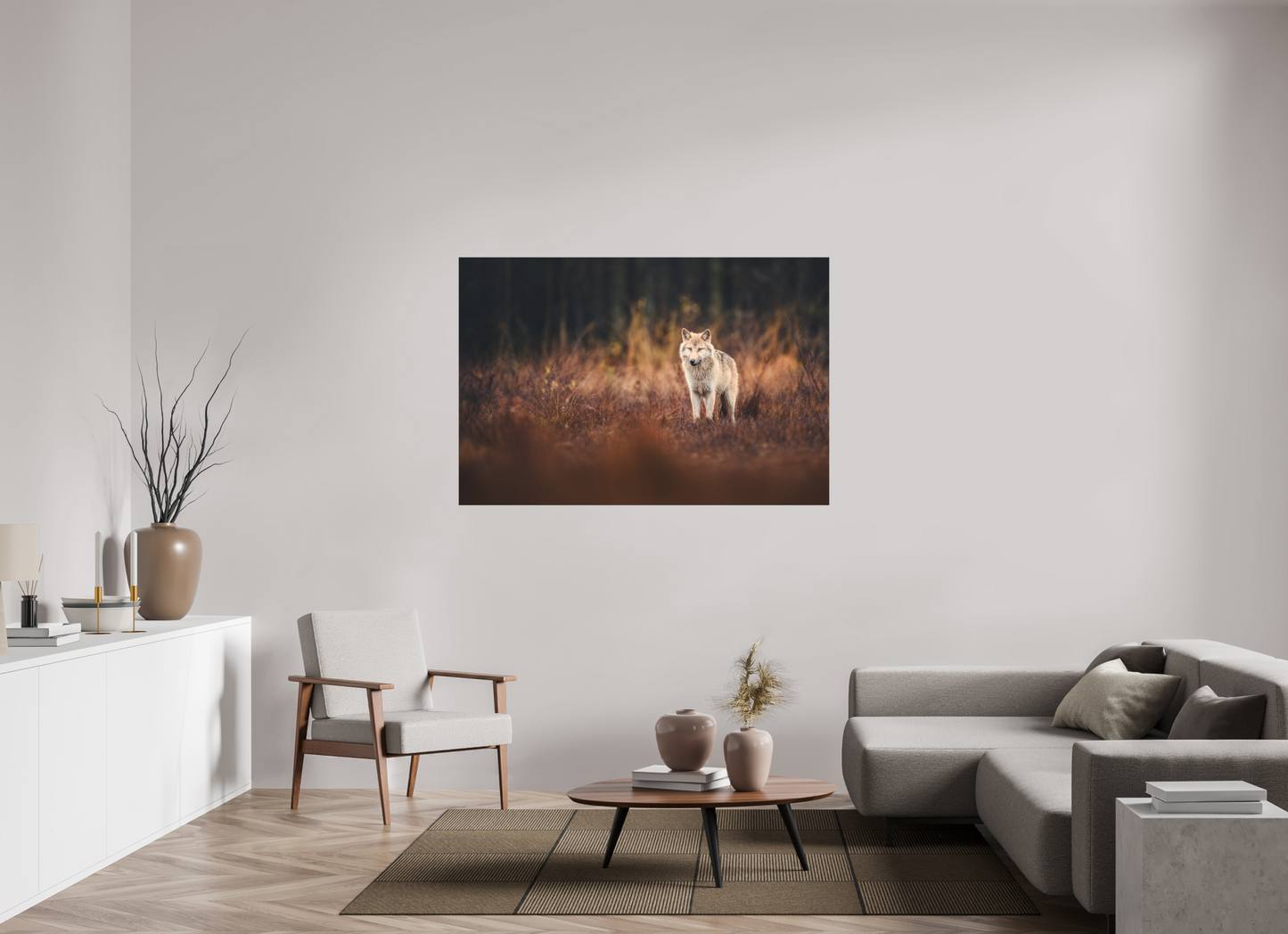 Wolf in autumn surroundings