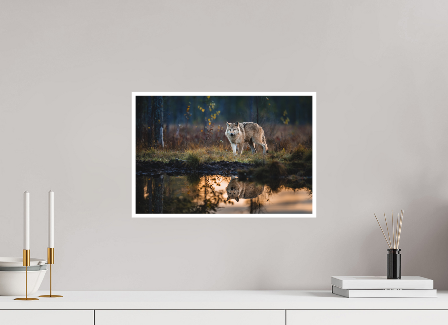 Wolf at the pond