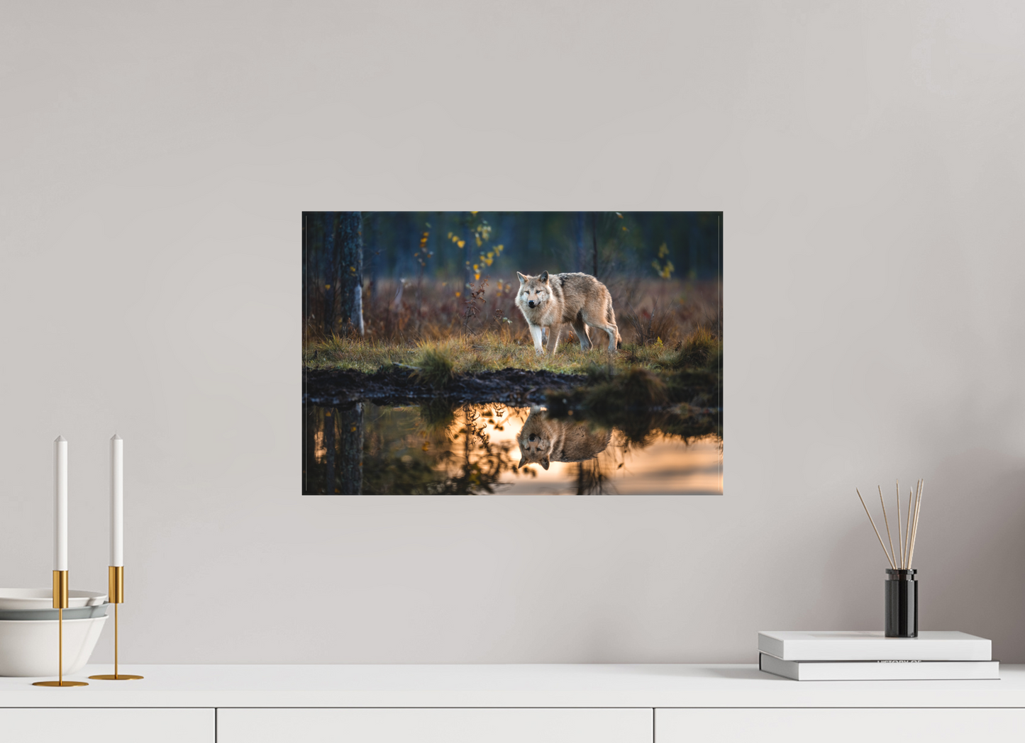 Wolf at the pond