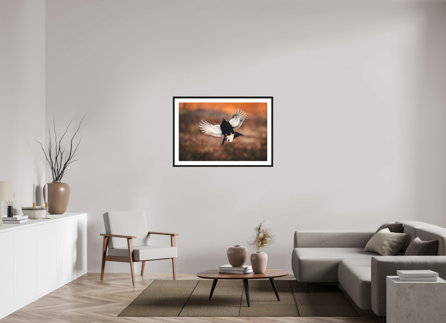 Black grouse in flight