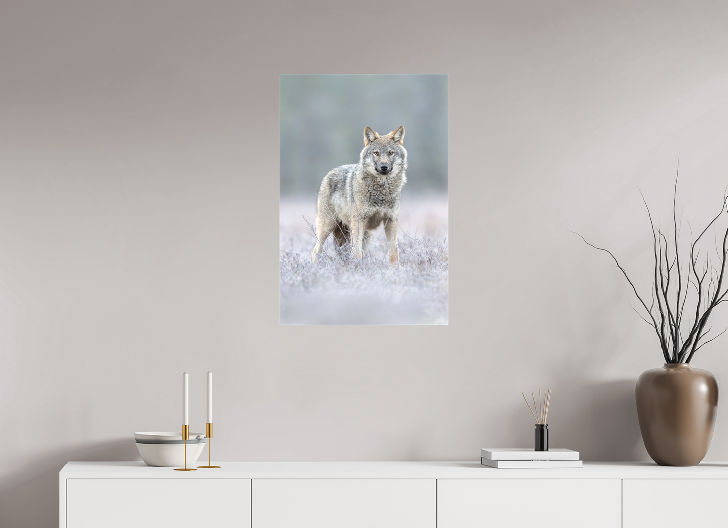 Wolf on frozen ground