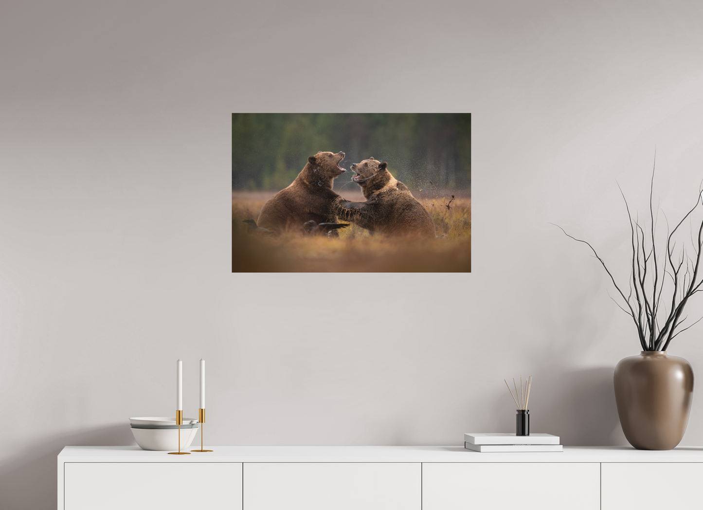 Fighting brown bears