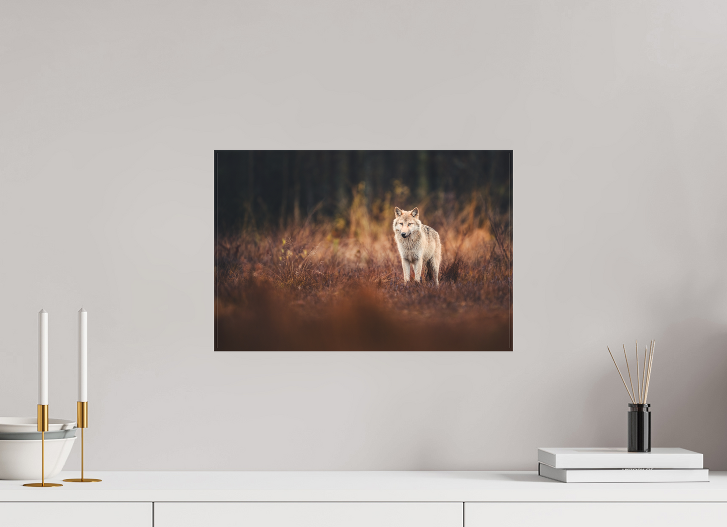 Wolf in autumn surroundings