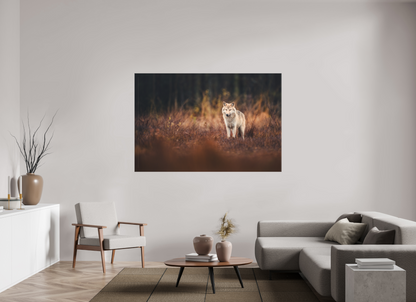 Wolf in autumn surroundings