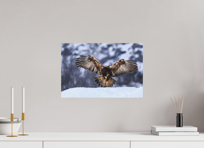 Golden eagle in for landing