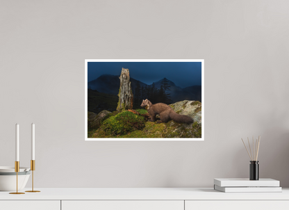 Pine marten in the blue hour