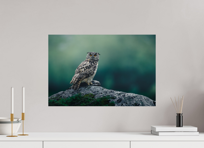 Eagle owl with its prey