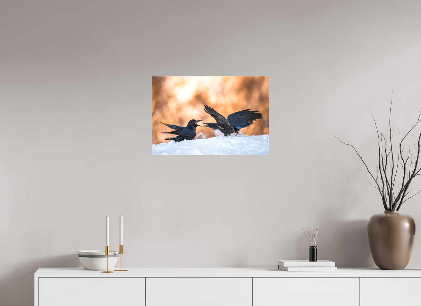 Ravens fighting in the snow