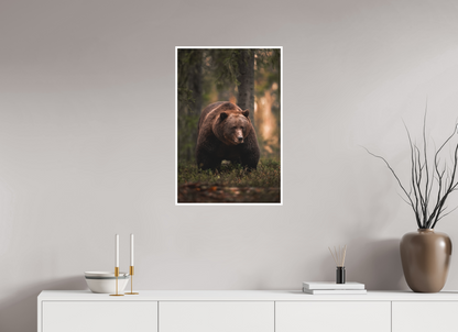 Bear in the evening forest