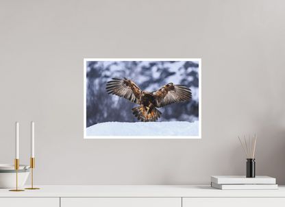 Golden eagle in for landing