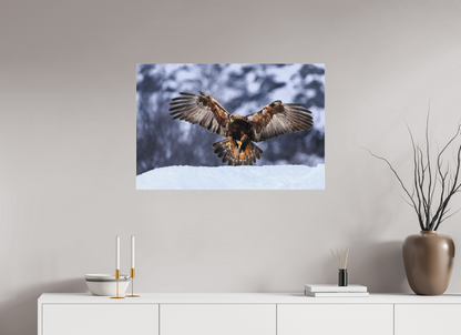 Golden eagle in for landing