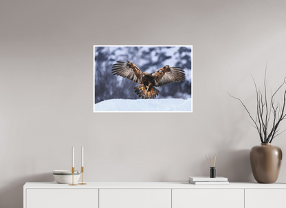 Golden eagle in for landing