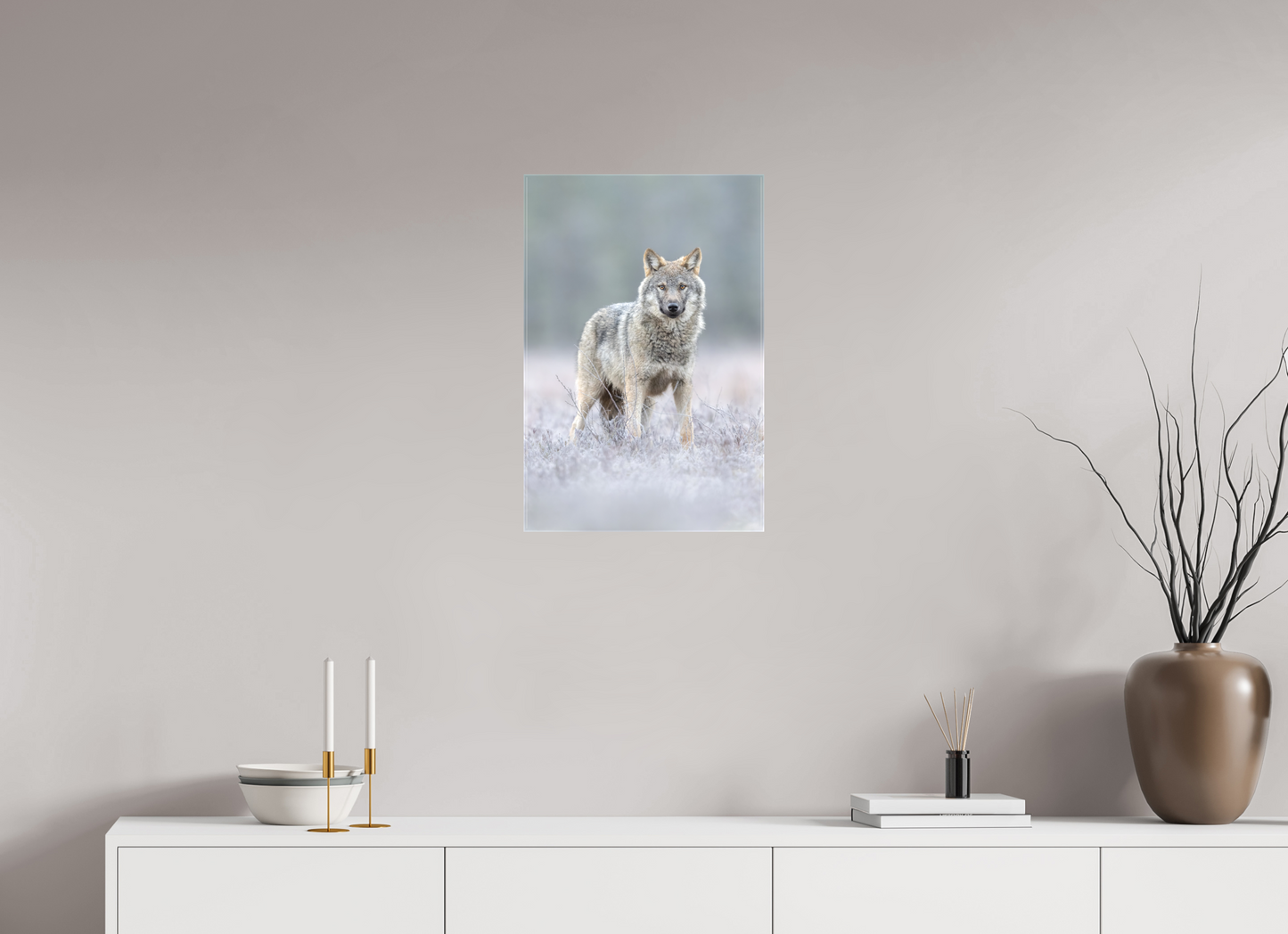 Wolf on frozen ground