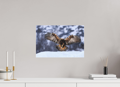 Golden eagle in for landing
