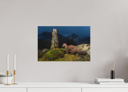 Pine marten in the blue hour