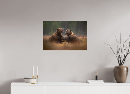 Fighting brown bears