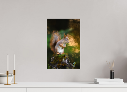 Squirrel in the summer forest