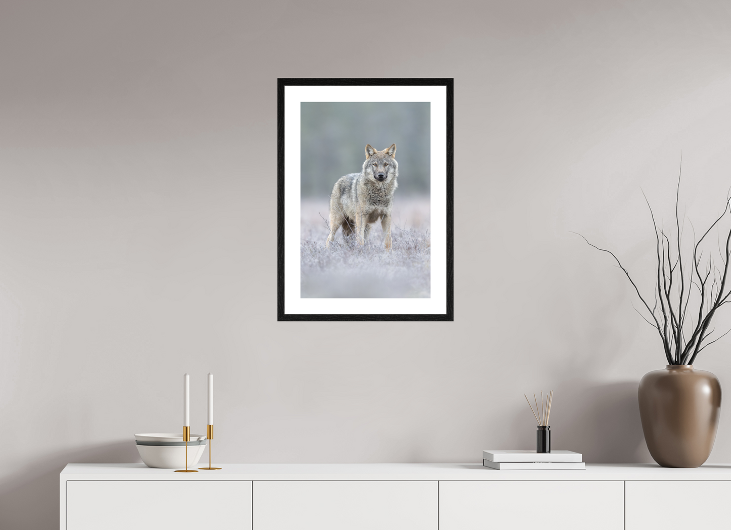 Wolf on frozen ground