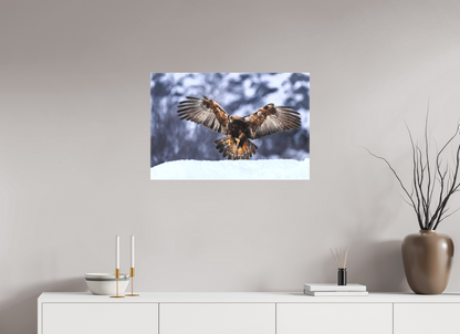 Golden eagle in for landing
