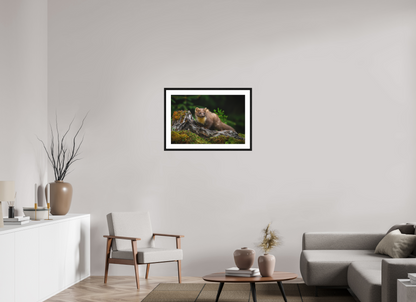 Pine marten on old tree root